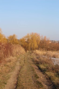 Kırsal kesimde bir nehrin manzarası.