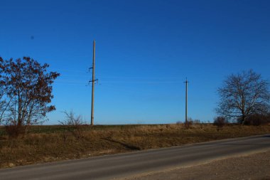 Arka planda ağaçlar olan bir yolun dikey görüntüsü