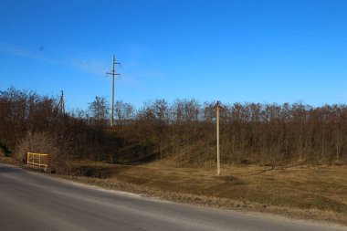 Sonbahar ormanında yol