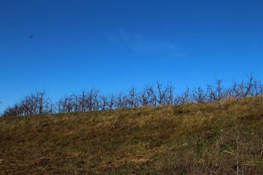 Doğanın güzel manzarası