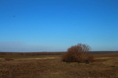 Kar ve ağaçlarla kaplı kış manzarası