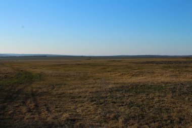 Doğanın güzel manzarası