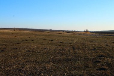 Doğanın güzel manzarası