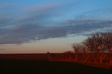 Tarlanın üzerinde güzel bir gün batımı