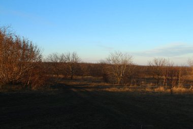 Güzel bir sonbahar akşamı gün batımında
