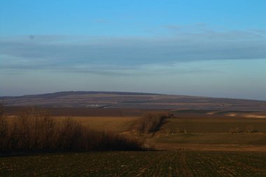 Akşamları buğday tarlasının güzel manzarası