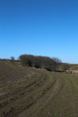 Buğday tarlası olan güzel bir manzara.
