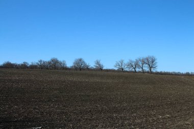 bahar manzarası, tarla, ağaçlar