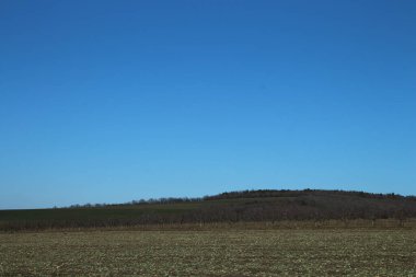 Sonbahar mevsiminde tarla ve mavi gökyüzü
