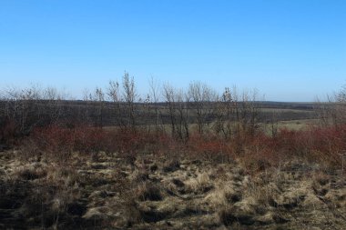 bahar manzarası. Köydeki bahar tarlası.