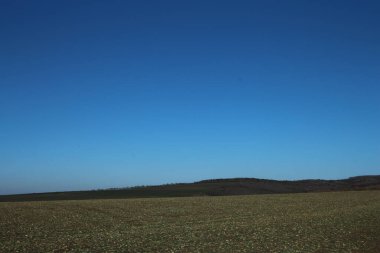 Mavi gök yeşil alan ile