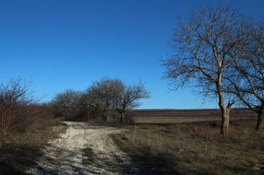 Kırsalda bir yol, ilkbaharda, ağaçlar, bir sürü kar, mavi gökyüzü, ve yol, bir tarla