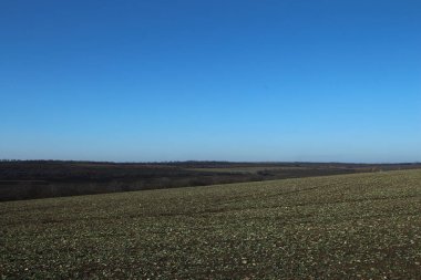Kırsal kesimde çim tarlası. bahar manzarası. Bulutlu ve mavi gökyüzü.