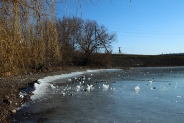 Kar ve ağaçlarla kaplı kış manzarası