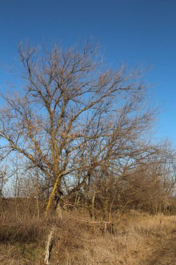 Doğanın güzel manzarası