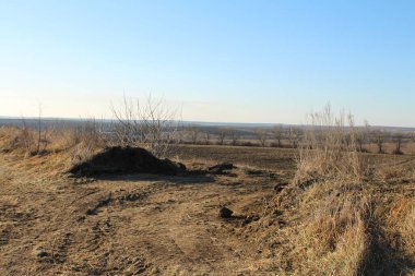 Büyük kuru otları olan küçük bir tarla..