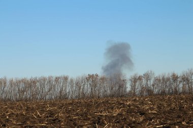 Kuru bir otlaktan büyük siyah bir duman.