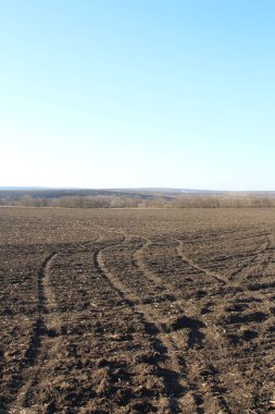 Yangından sonra tarla