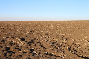 Toprağı toprakla sürdüm.
