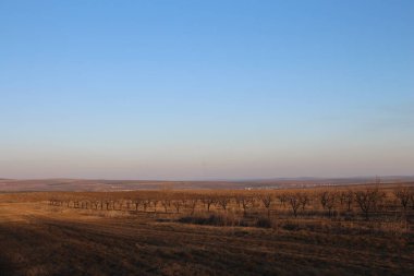 Bahar alan ve gün batımı