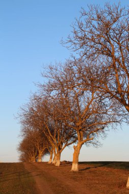 Doğanın güzel manzarası