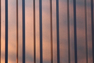 Arka planı bulanık metal bir çitin dikey görüntüsü.