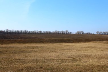 Geniş bir tarlası ve buğday tarlası olan büyük bir tarla.