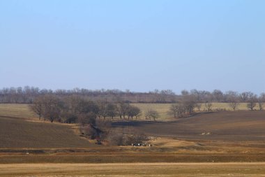 Arka planda tarlaları ve tepeleri olan bahar manzarası.