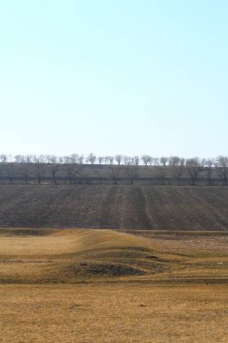 Mavi gökyüzü ve beyaz bulutlarla güzel bir bahar manzarası