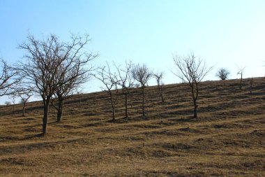 Güzel doğa manzarası.