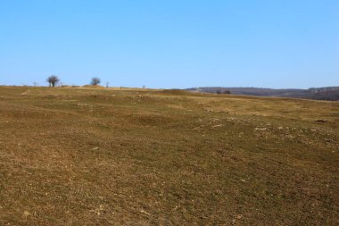 Arkaplanda kuru çimen olan bir alan