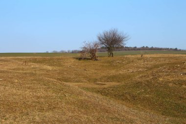 Parkta güzel bahar sahne