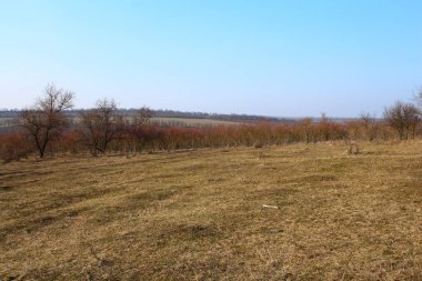 bahar manzarası. Güzel, aydınlık, sıcak, güneşli bir gün..