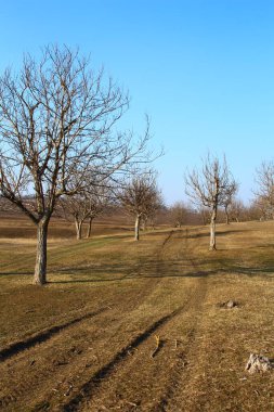 Parkın güzel manzarası ve bir yol