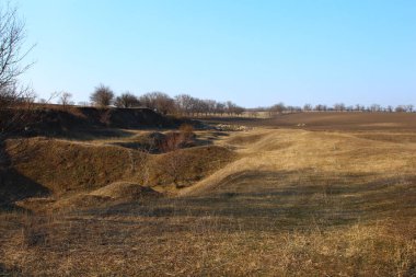 Dünya 'nın alanı.