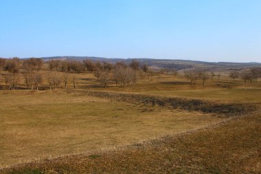Doğanın güzel manzarası
