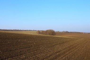 Doğanın güzel manzarası