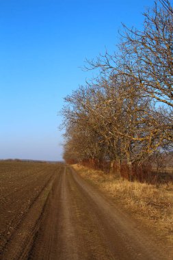 Köye giden yol.