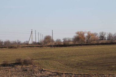 Baharda tarlanın manzarası