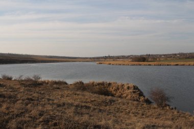 Gölün kıyısındaki küçük gölet