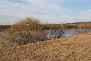 Ağaçlar ve nehirlerle dolu sonbahar manzarası