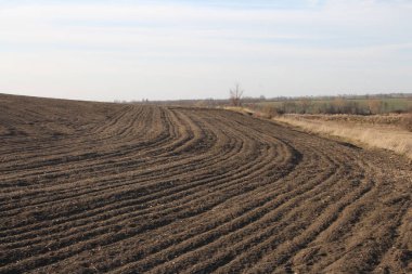 Baharda ekili tarlalar