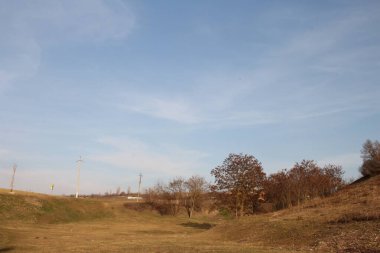 Ağacı ve dağı olan güzel bir manzara.