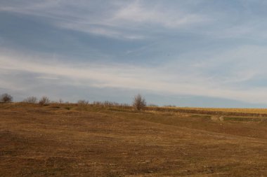 Bir köyde bahar manzarası.