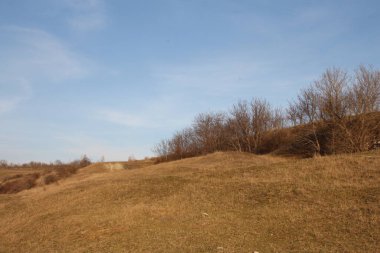Bahar Ormanı 'ndaki manzara