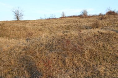 Dağlarda sonbahar manzarası