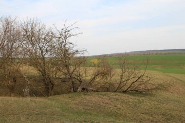 Doğanın güzel manzarası