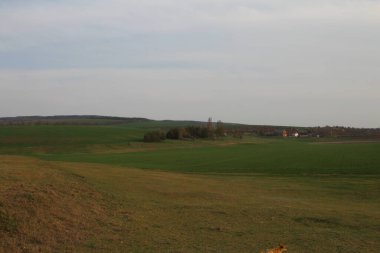kırsal alanın manzarası, seçici odak