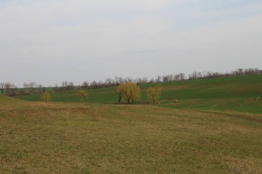 Güzel sonbahar manzarası. arkaplan.