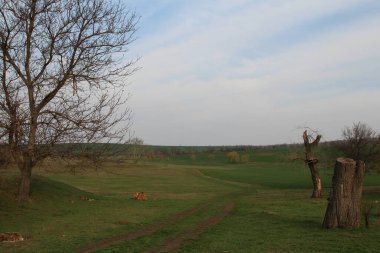 yolu ile sonbahar manzarası